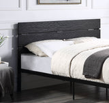 Elegant Black Metal Frame Queen Size Bed by Lissie Lou