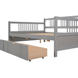 Full Size Daybed with Two Drawers - Gray- by Lissie Lou