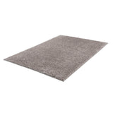 Super Soft Polyester Shag Area Rug (50"x31")