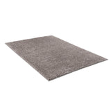 Super Soft Polyester Shag Area Rug (50"x31")