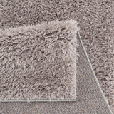 Super Soft Polyester Shag Area Rug (50"x31")