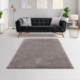 Super Soft Polyester Shag Area Rug (50"x31")